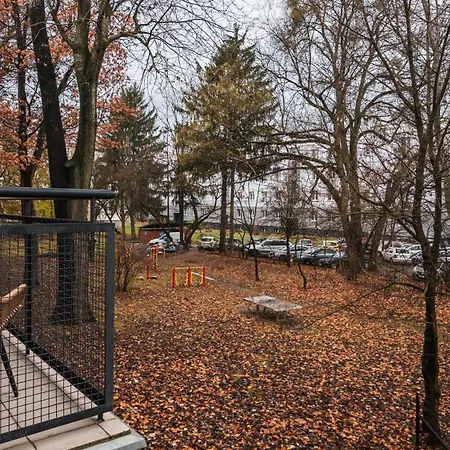 Drzewieckiego, Sun & Snow *